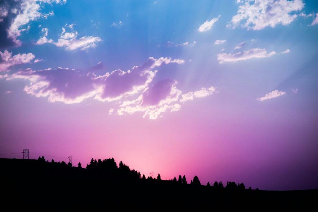 Sunset over the forest